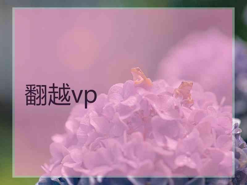 翻越vp
