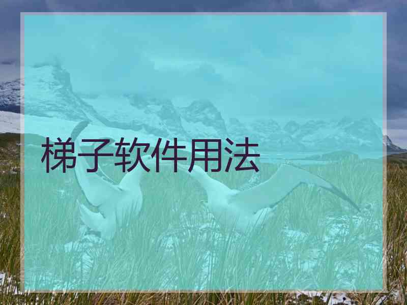 梯子软件用法