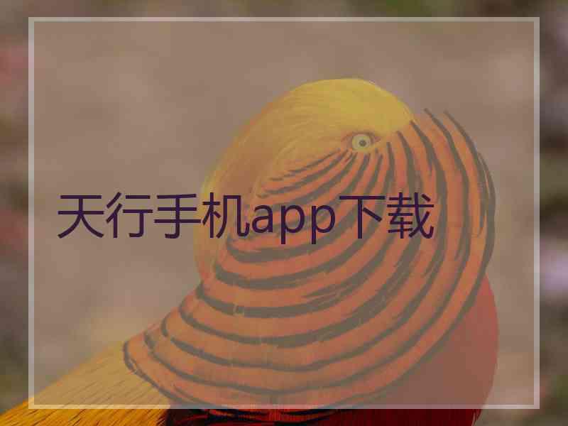 天行手机app下载