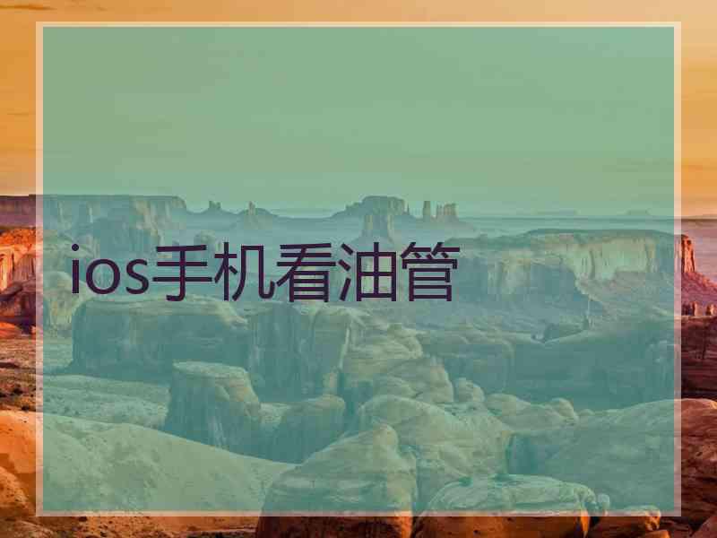 ios手机看油管