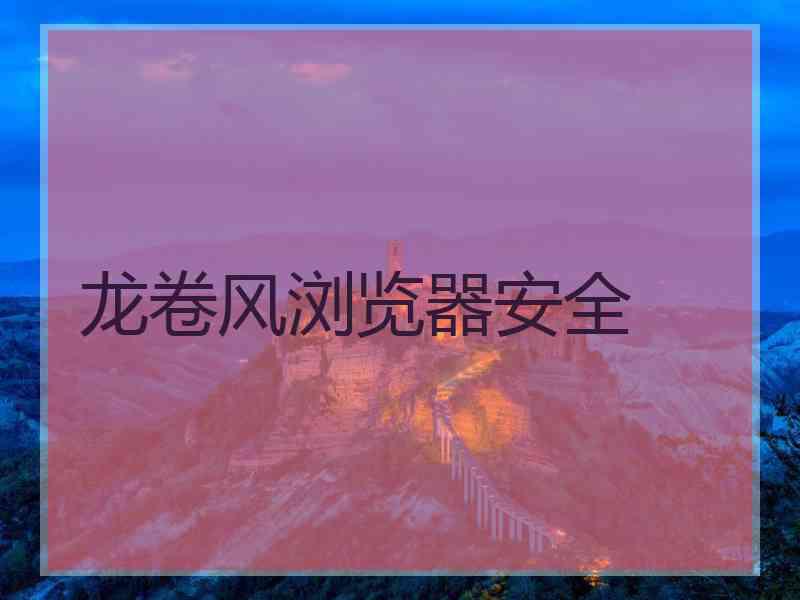 龙卷风浏览器安全