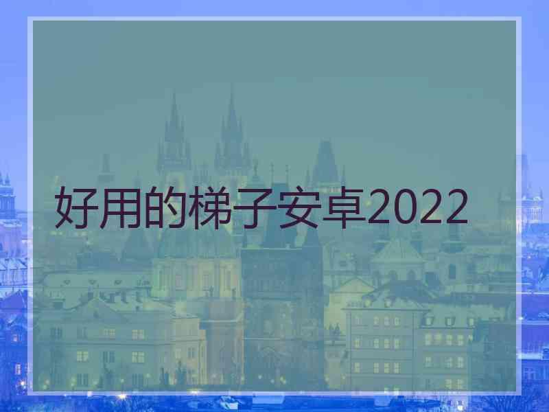 好用的梯子安卓2022