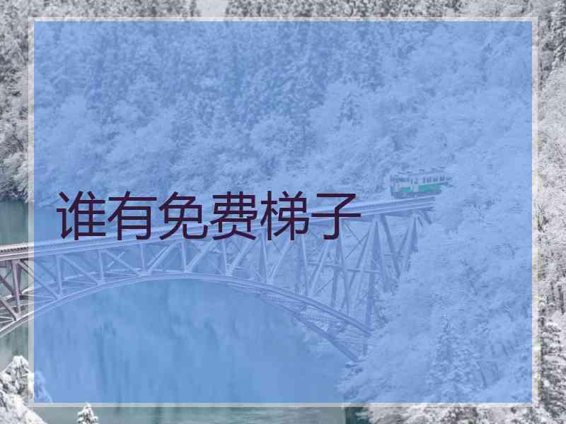 谁有免费梯子