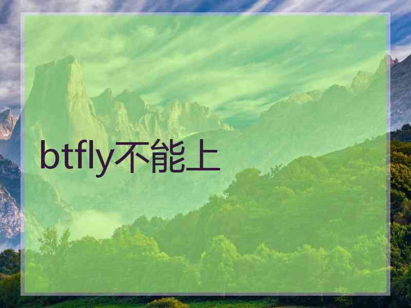 btfly不能上
