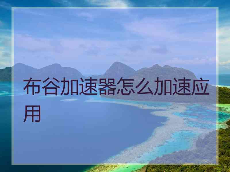 布谷加速器怎么加速应用