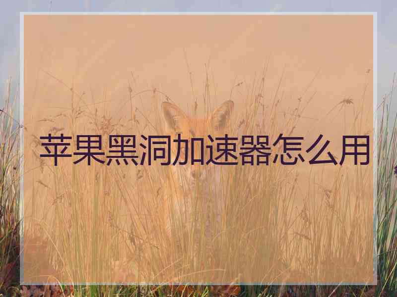 苹果黑洞加速器怎么用