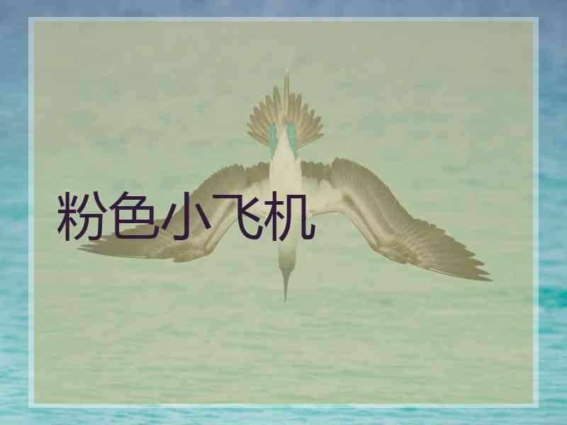 粉色小飞机