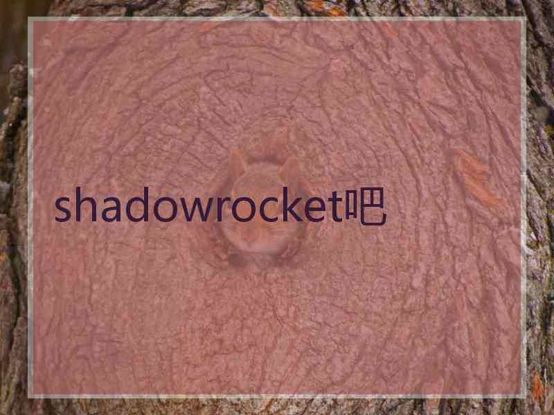 shadowrocket吧