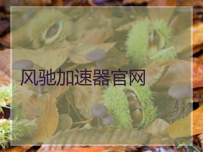 风驰加速器官网