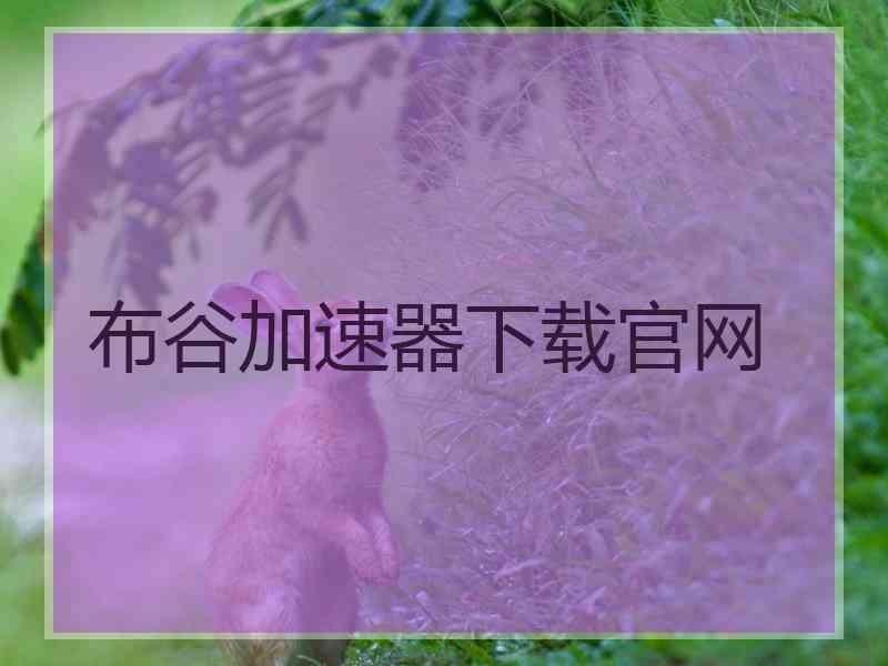 布谷加速器下载官网