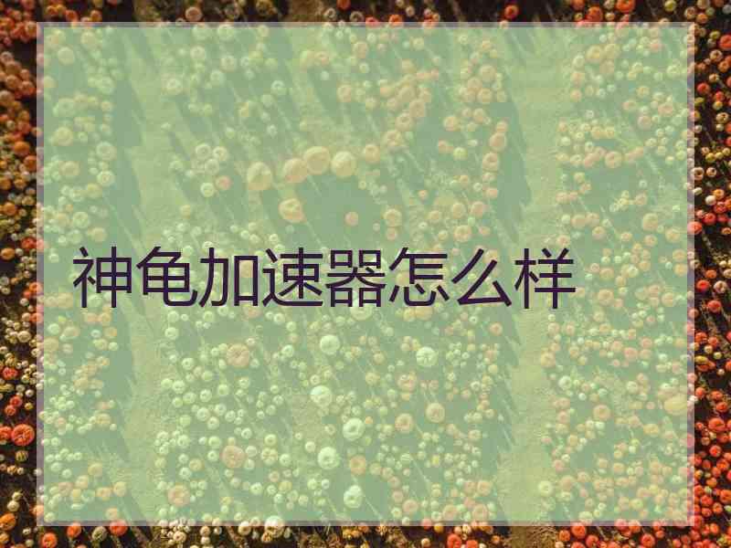 神龟加速器怎么样