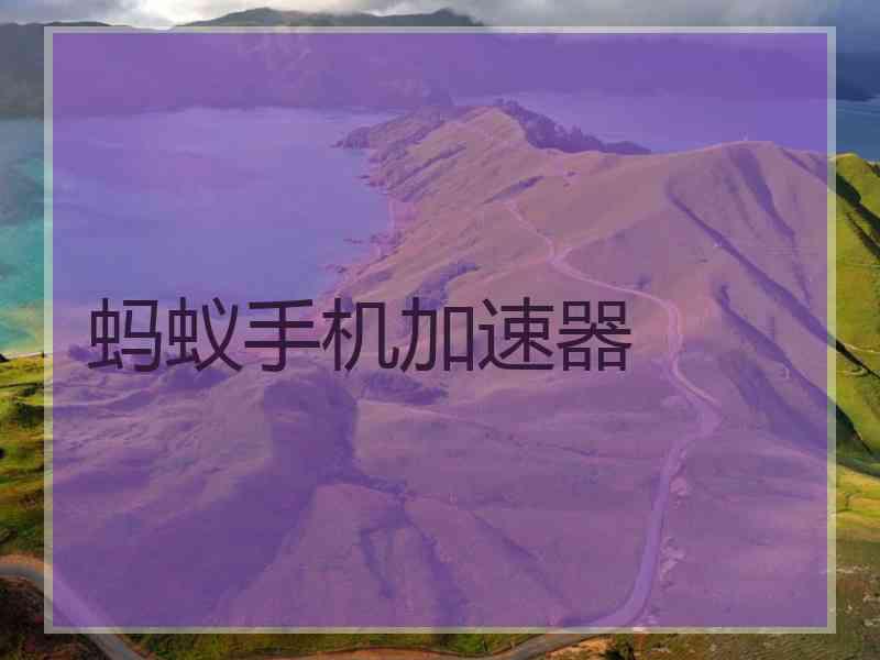蚂蚁手机加速器