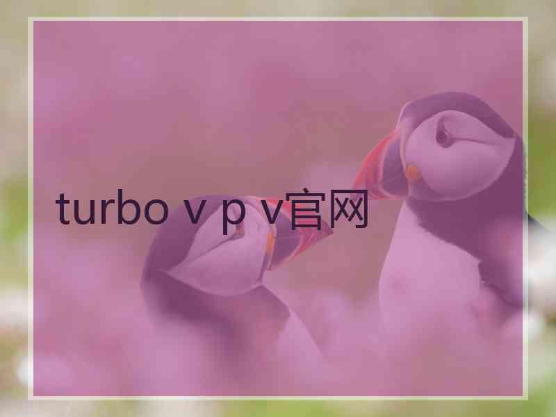 turbo v p v官网