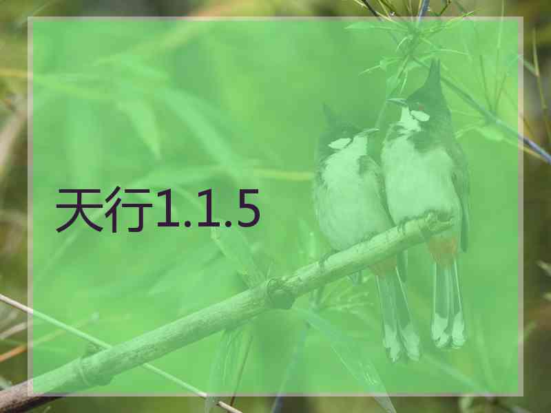 天行1.1.5