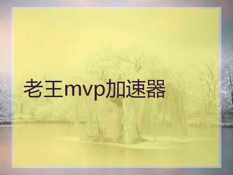 老王mvp加速器