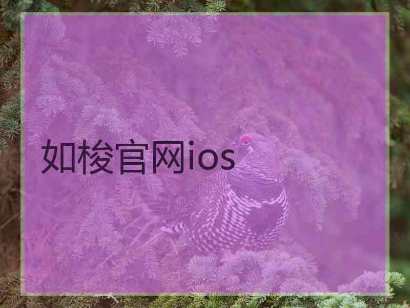 如梭官网ios