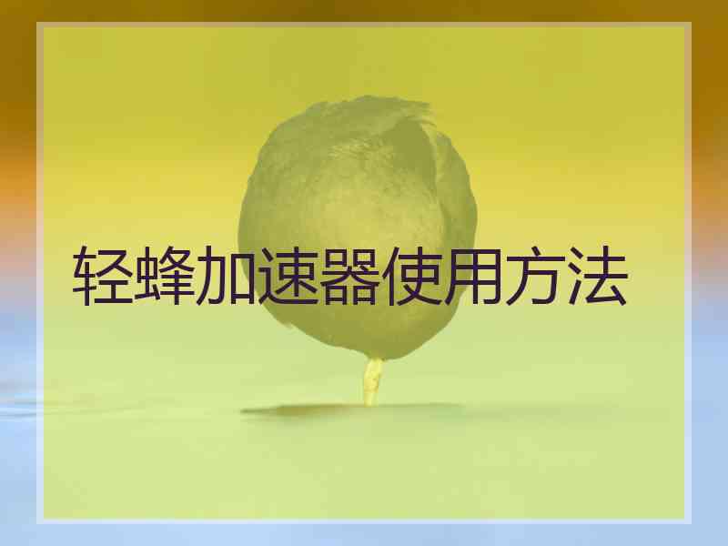 轻蜂加速器使用方法