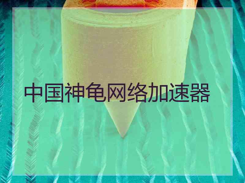中国神龟网络加速器