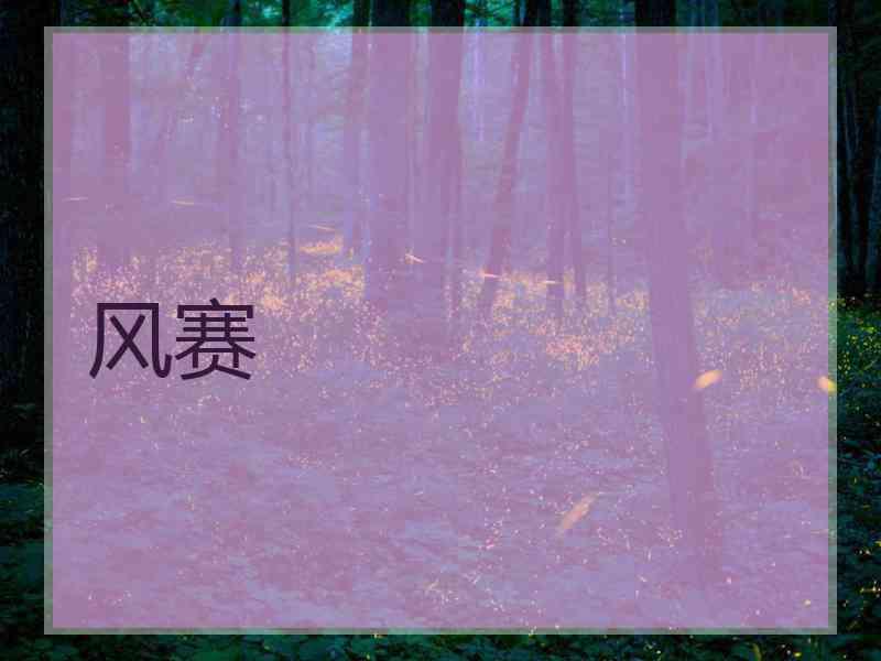 风赛