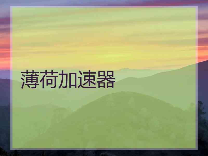 薄荷加速器