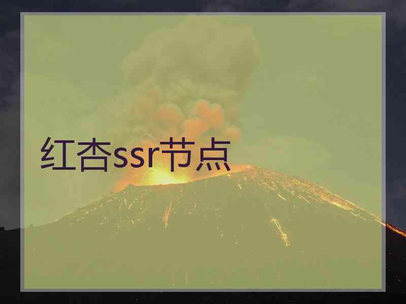红杏ssr节点