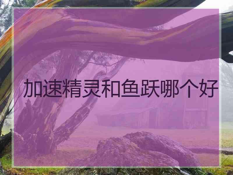 加速精灵和鱼跃哪个好