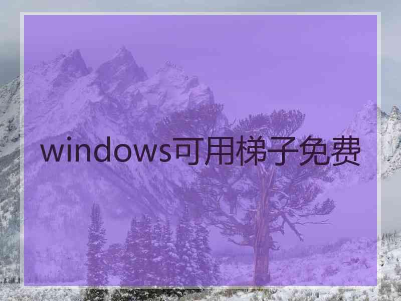 windows可用梯子免费