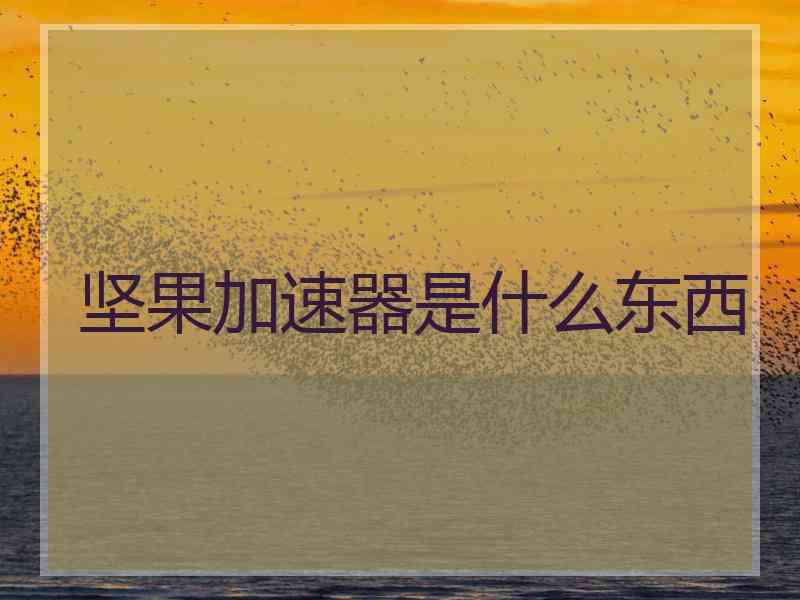 坚果加速器是什么东西