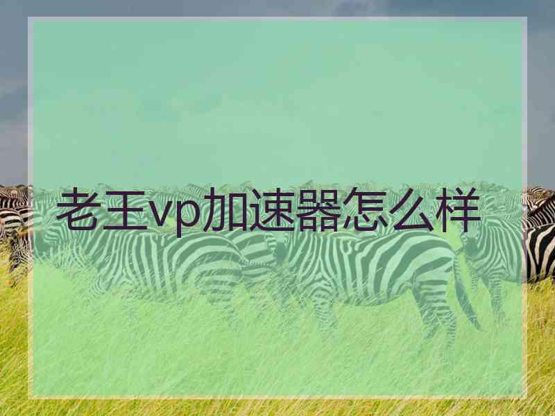 老王vp加速器怎么样