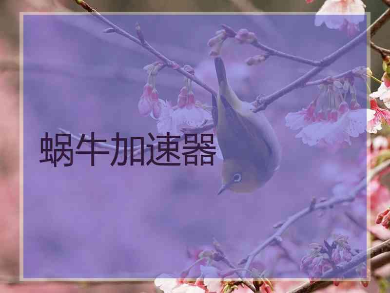 蜗牛加速器