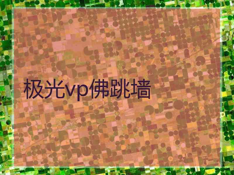 极光vp佛跳墙