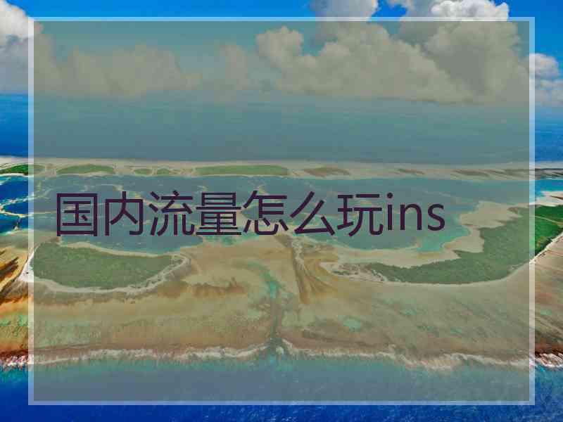 国内流量怎么玩ins