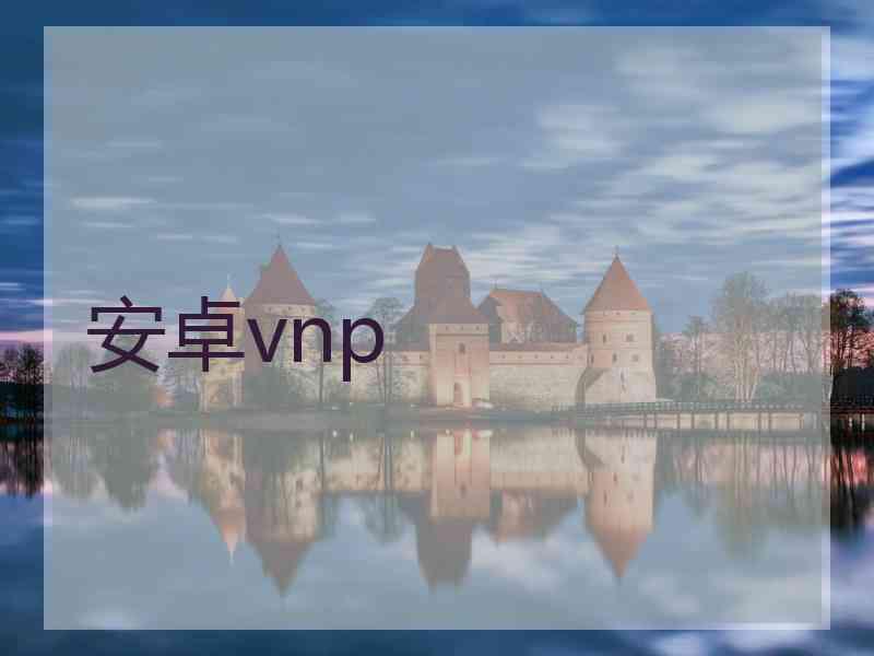 安卓vnp