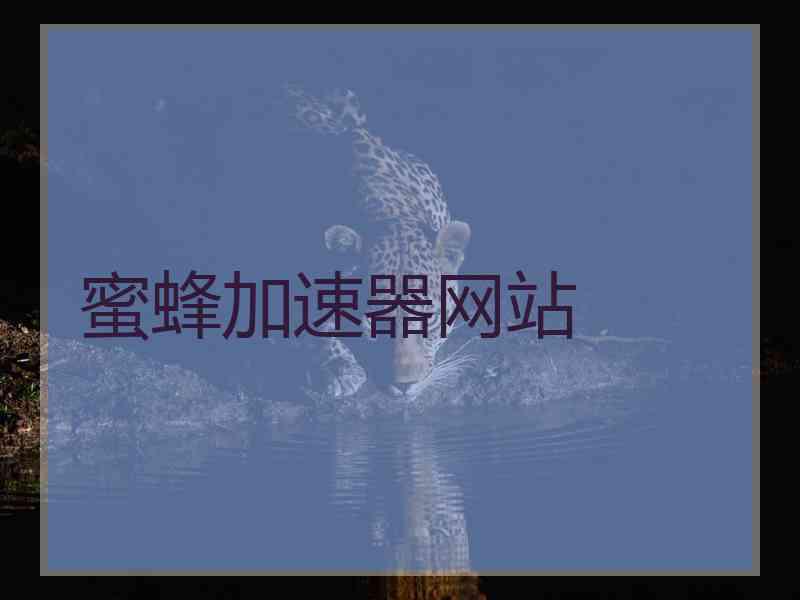蜜蜂加速器网站