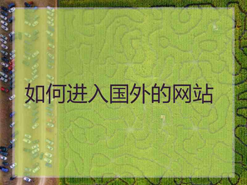 如何进入国外的网站