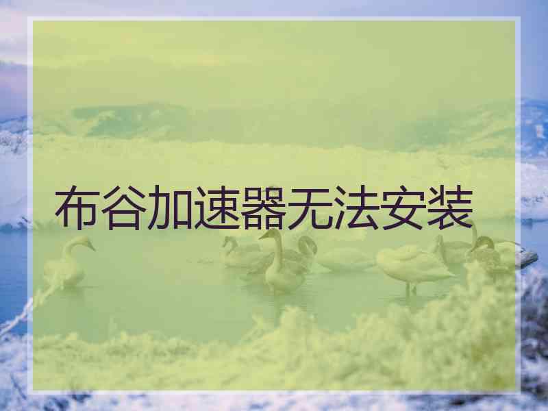 布谷加速器无法安装
