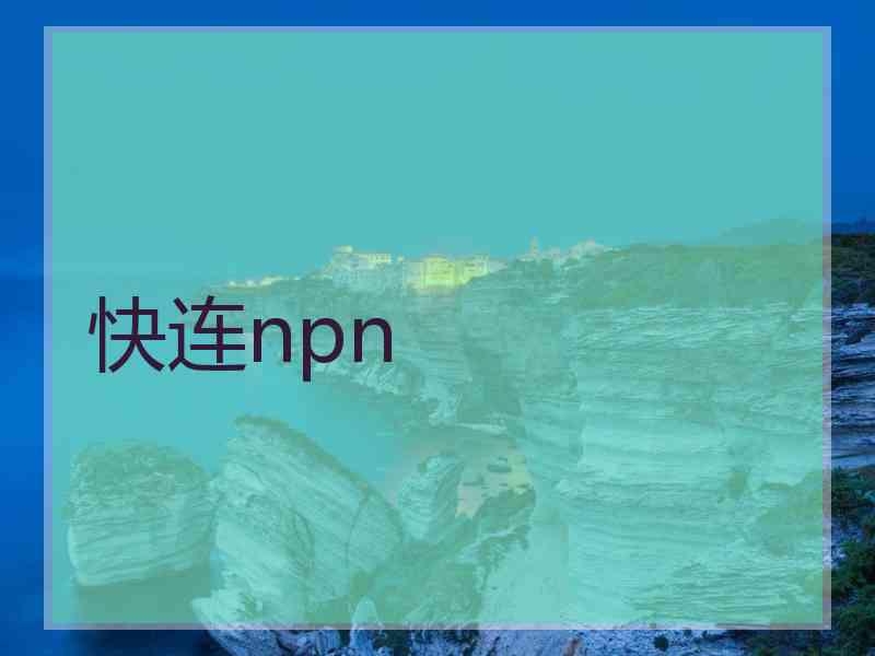 快连npn