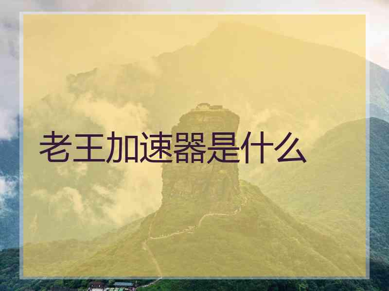 老王加速器是什么