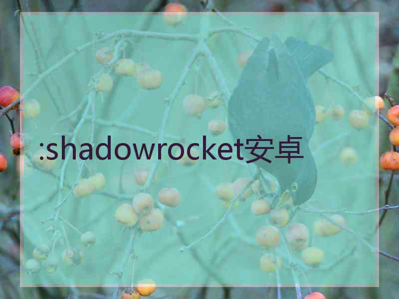 :shadowrocket安卓