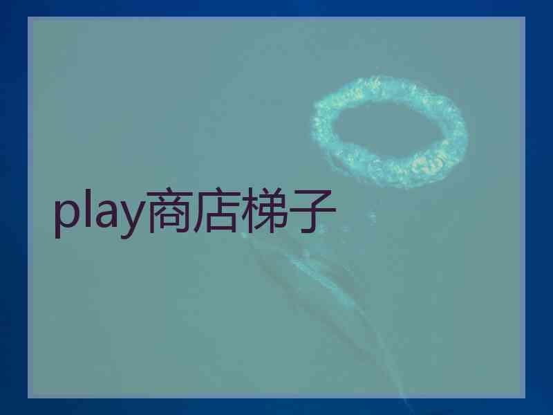 play商店梯子