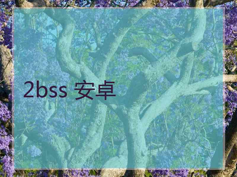 2bss 安卓