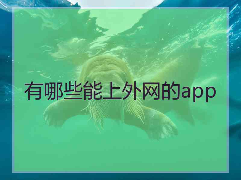 有哪些能上外网的app
