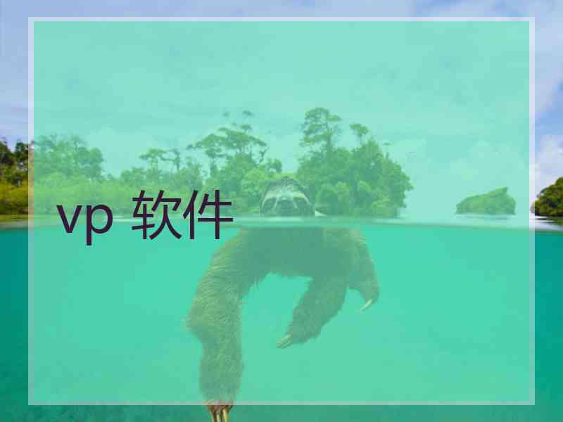 vp 软件