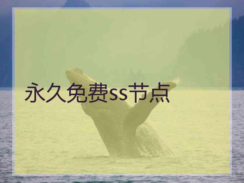 永久免费ss节点