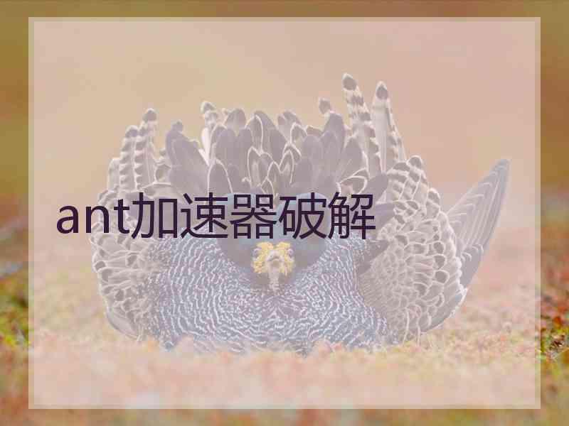 ant加速器破解