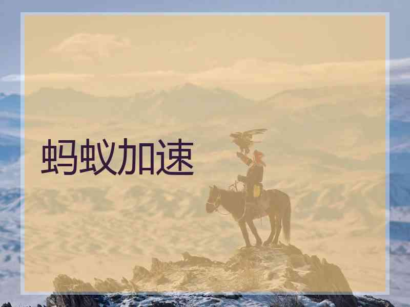 蚂蚁加速