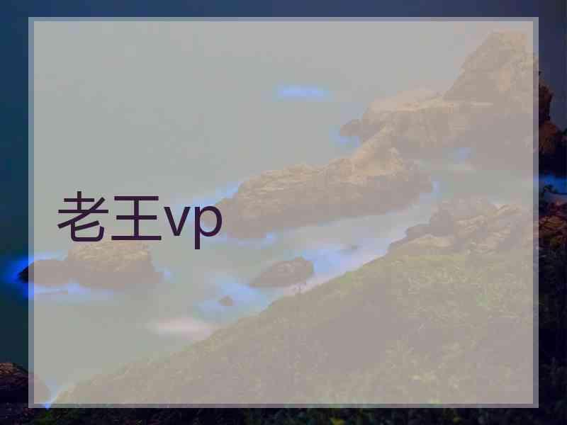 老王vp