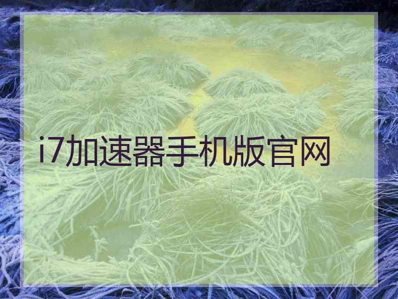 i7加速器手机版官网