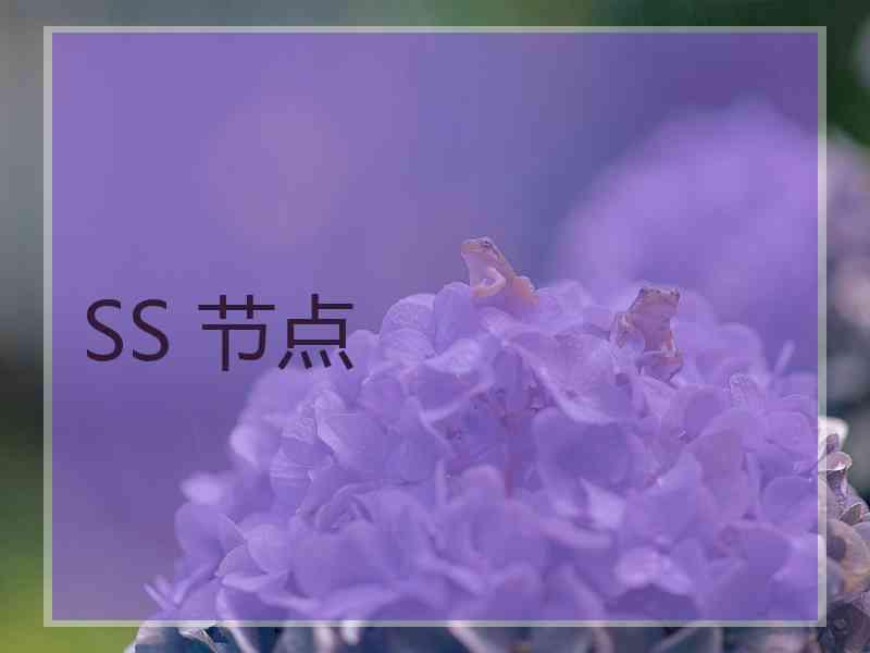 SS 节点