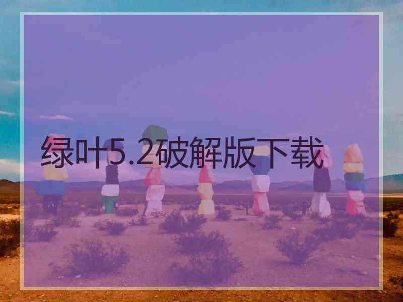 绿叶5.2破解版下载